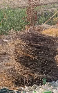 سیم کشاورزی