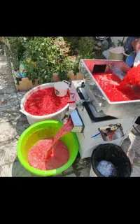 آب گوجه گیری سیار با دستگاه و کاملا بهداشتی