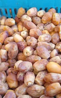 خرید عمده خرما گراش