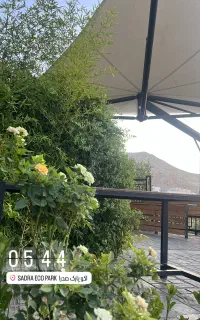 ۹۱۷۹۰۲۶۶۵۱