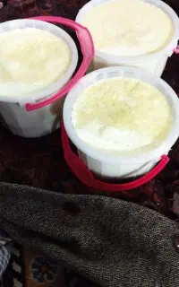 ماست گوسفندی اصل و دوغ