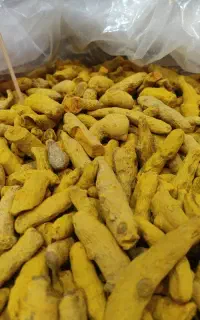 قلم زرد چوبه