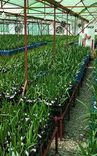 سرمایه‌گذاری