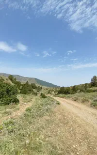 دوچرخه سواری