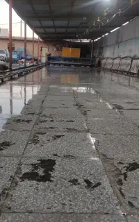 قالیشویی  عادل