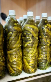 خیارشور