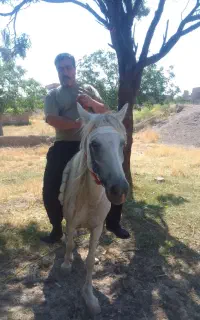 فروش اسب مادیان پنج ساله با بچه