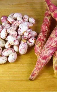لوبیاچیتی پاک شده