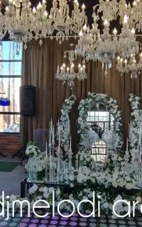 دیجی حرفه ای دی جی بانوان با نورپردازی