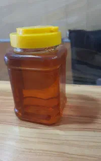 شهد تغذیه تناژ