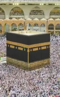 حج واجب