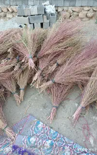جارومحلی
