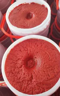 رب گوجه فرنگی