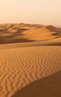 تور کویر یزد(آفرود و سافاری)