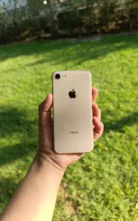 آیفون 8 رزگلد سکه