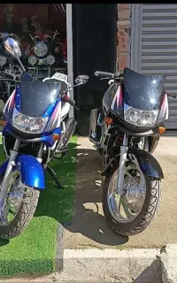 رئیس چاپر دیویدسون مینی کاپ خشک صفر کیلومتر