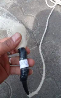 تور ماهیگیری