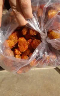 آلو خورشتی تازه امسالی