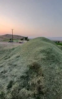 یونجه خرمنکوب تراکتوری تمیز