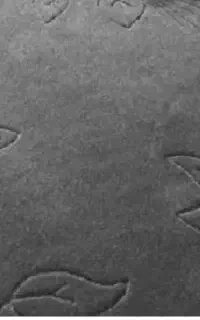 موکت خاکستری