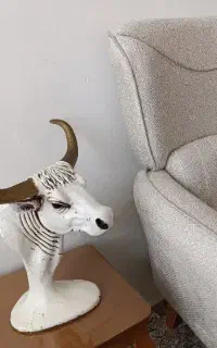 سر گاو