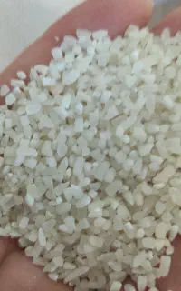 برنج نیمه نبی کیسه ها ۳۵ کیلویی . ارسال رایگان