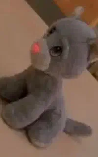 لطفا بادقت بخوانید