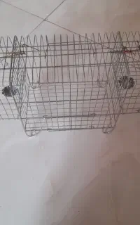 تله و قفس