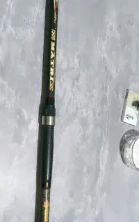 لنسر
