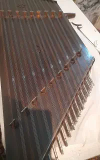 سنتور تک مهر موسوی