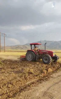 شخم چیزل سمپاشی مزارع گندم وترفلان برای کاشت لوبیا