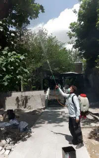 سمپاشی و باغبانی کل تهران با ضمانت و فاکتور