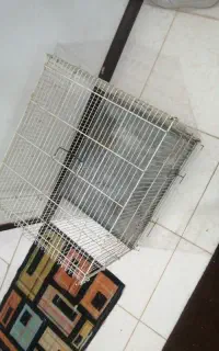 قفس