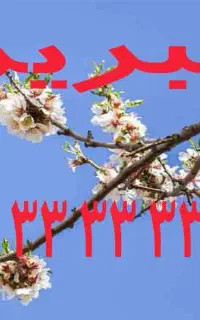 خط تلفن ثابت در منطقه ولیعصر تبریز 19 33 33 33