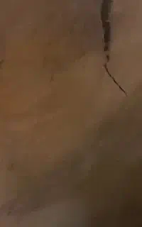 شماره رند ایرانسل