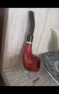 پیپ اروپایی بیک بن هلندی