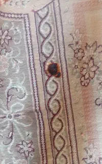 فرش
