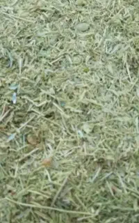 کاه عدس