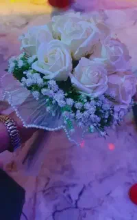 دیجی حرفه ای شاد و پرانرژی دیجی رستا فقط 7تومن