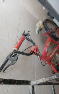 دوچرخه