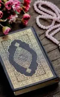 قرآنی وکتاب بینی ،مشکل یابی