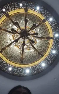 گل سقفی