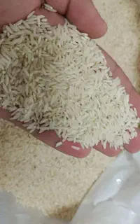 برنج هاشمی