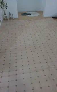 پالاز موکت