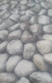 موکت درحد نو