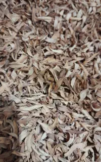 بهارنارنج مرغوب تمییز بهداشتی خانگی