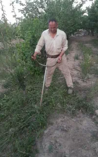 یونجه وعلف هرز