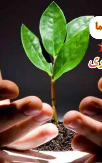 اعتیاد