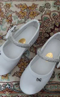 کفش مجلسی