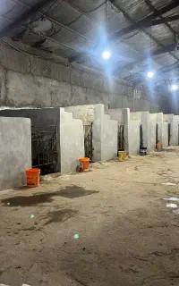 اسب سواری(پانسیون)